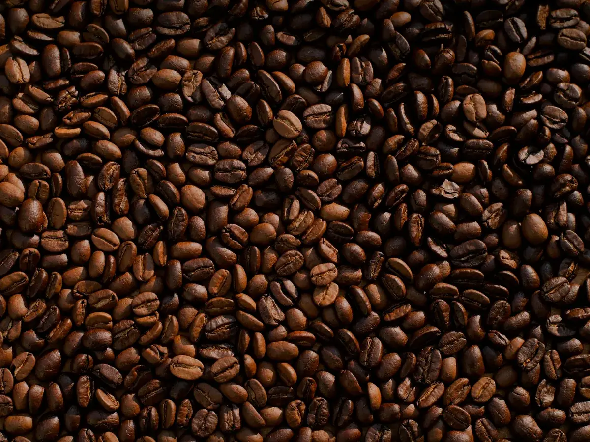 Dark roasted Barako beans
