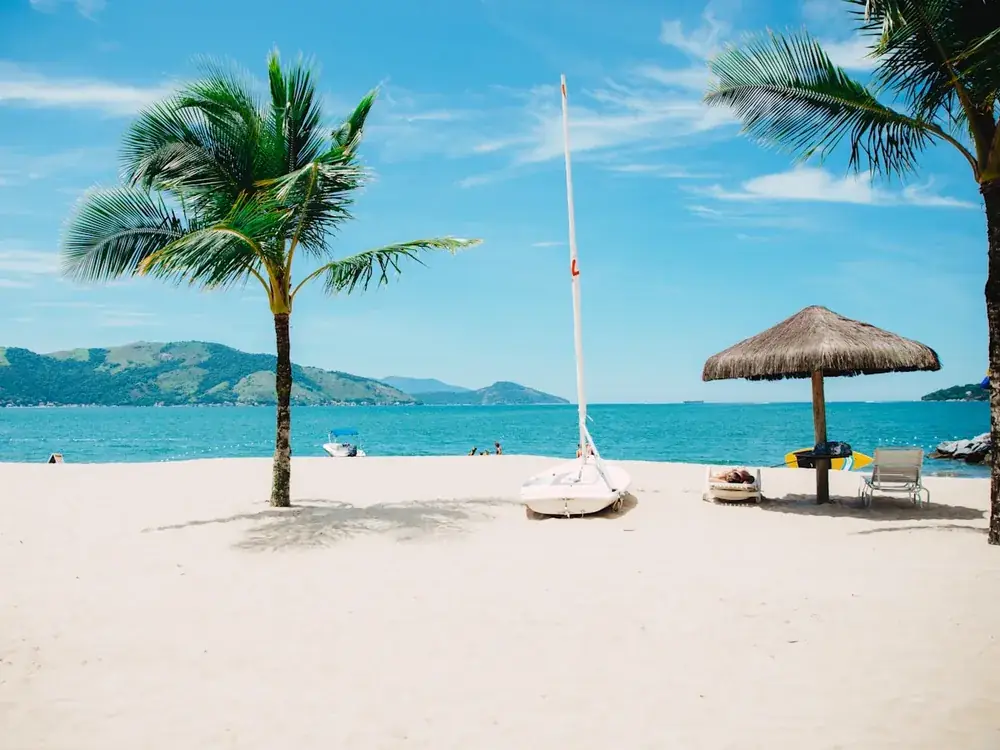White sandbar and palm tree at Sumilon